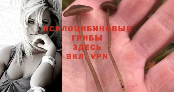 дживик Бородино
