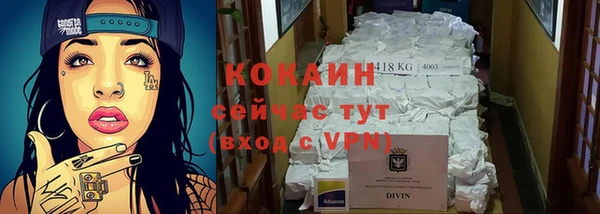 дживик Бородино