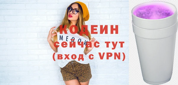дживик Бородино