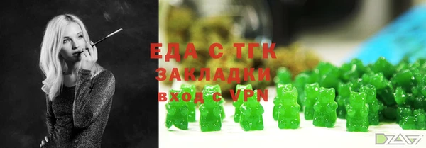 дживик Бородино
