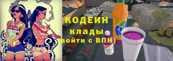 дживик Бородино