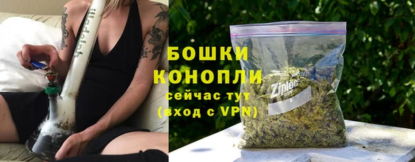 дживик Бородино
