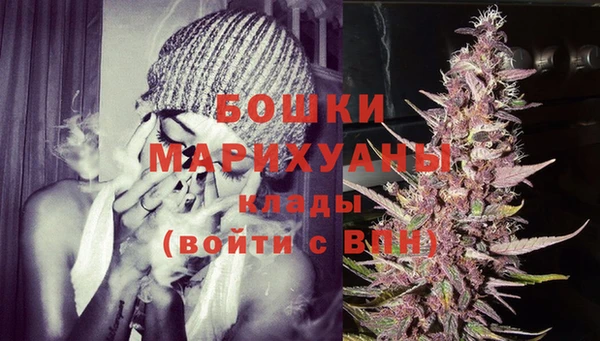 дживик Бородино