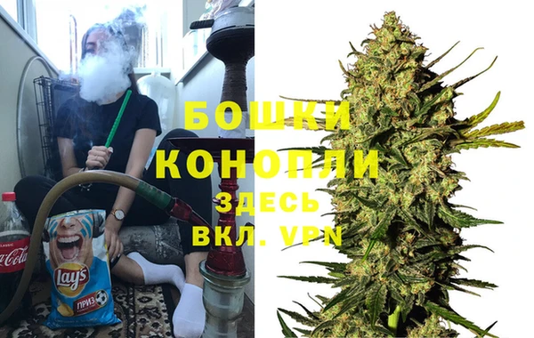 дживик Бородино