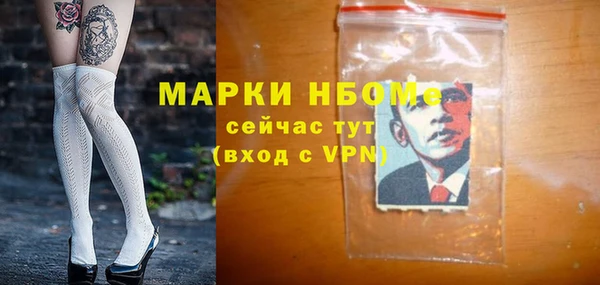 дживик Бородино