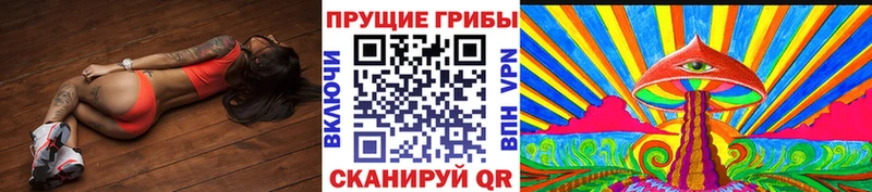 Купить  Ртищево  Псилоцибиновые грибы Cubensis 